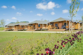 Glamping Lodge Waddenzee